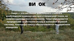 Методика Виток #2022 Описание методики. Упражнения с гимнастическими палками. #тренировка #полезные