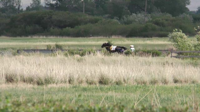 25.06.2022г.Аскиз Тун Пайрам Лошади Рысистых пород старшего возраста 1600м