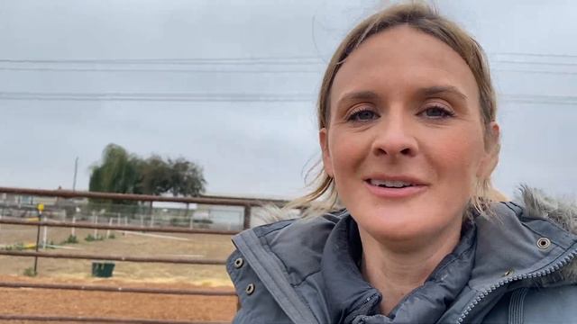 PLANTING A ROSEMARY HEDGE IN MY RIDING ARENA | Horse Stable Project Series смотреть онлайн