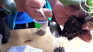 Измеряю PH земли в своих горшках. Тест-полоски для определения кислотности почвы.