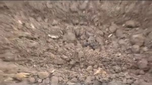 Мини парник в земляной яме, посадка томата и капусты Сад и огород Выпуск 024