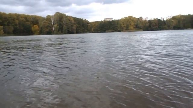 На острове птиц (Минск, парк Победы) смотреть онлайн