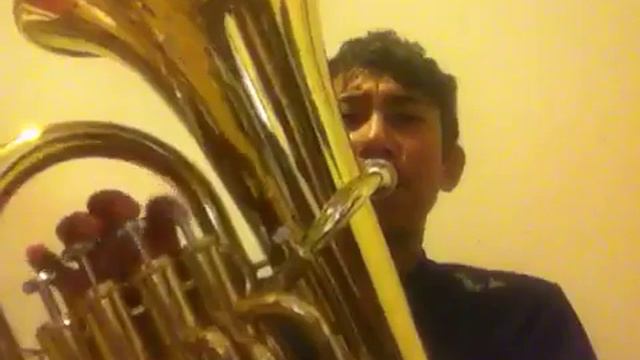 Saria's song euphonium/trombone смотреть онлайн