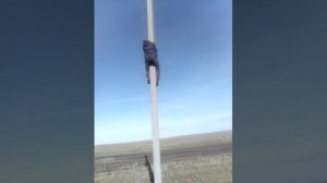Забираемся на электрический столб