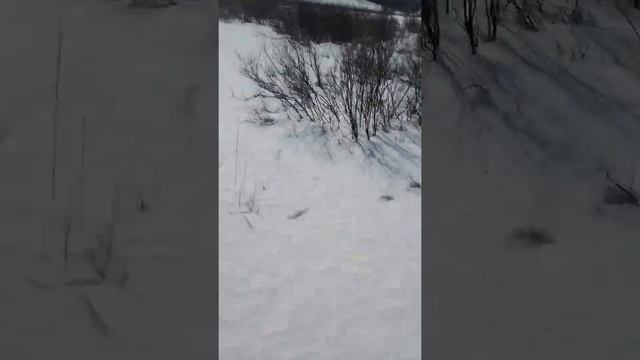 спуск с горы
