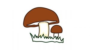 Как нарисовать ГРИБ / Раскраска ГРИБ / How to draw a MUSHROOM / mushroom Coloring / Краски Раскраск