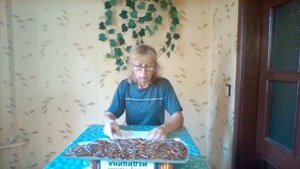 Сабельник корень и его лечебные свойства