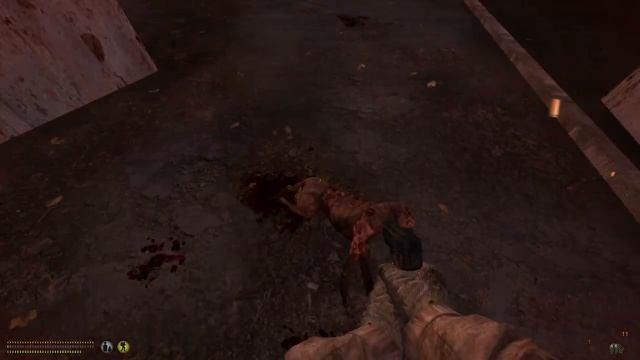 Аномальные мучения | Сталкер обзор мода Аномали (Stalker:Anomaly) #1