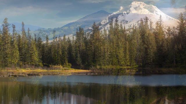 2 hours of beautiful relaxing flute and violin instrumental music by Tim Janis смотреть онлайн