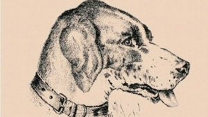 Головоломка на внимательность - Найди хозяина собаки - Разминка для мозга- Тест для взрослых