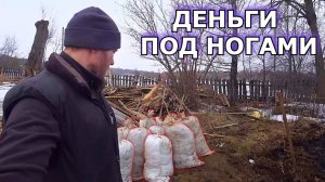 ХОЗЯЙСТВО НАЧАЛО ПРИНОСИТЬ ДОХОД. ВЕСЕННИЙ ЗАРАБОТОК НА НАВОЗЕ. ЖИЗНЬ В ДЕРЕВНЕ. МОЛОДАЯ ФЕРМА