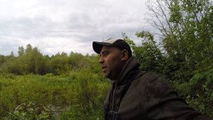 Рыбалка на реке Молога. Малая река. Ловля Окуня. Спиннинг в Тверской Области