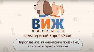 ВИЖ Питомцы. Лечение и профилактика пироплазмоза