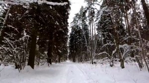 35) Веломаршруты Москвы и Подмосковья. м. Алтуфьево - Лосиный остров, оз. Торфянка