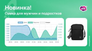 Продажи сумки для мужчин и подростков на Wildberries. Аналитика маркетплейса