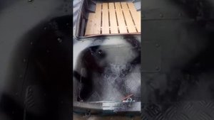 лодка обь 1