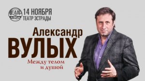 Александр Вулых / Театр Эстрады / 14 ноября 2013 г.