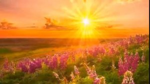 Imprintband - Святой Бог