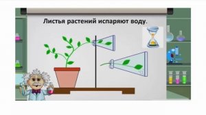 Дыхание и питание растений. Рассказывает Ридель Алиса.