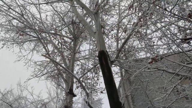 Almaty Orbita-1 Feb 1st part 1 смотреть онлайн