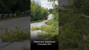 Обрезчик деревьев Секира-4И в работе. Обрезка лесополос вдоль дороги.