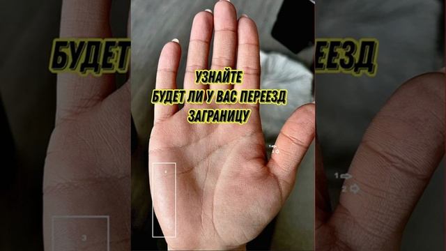 Будет ли переезд заграницу?