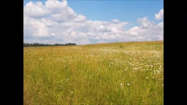 "Моя малая Родина д. Новый Сентег" Андреева Наталия (д. Н. Сентег) смотреть онлайн