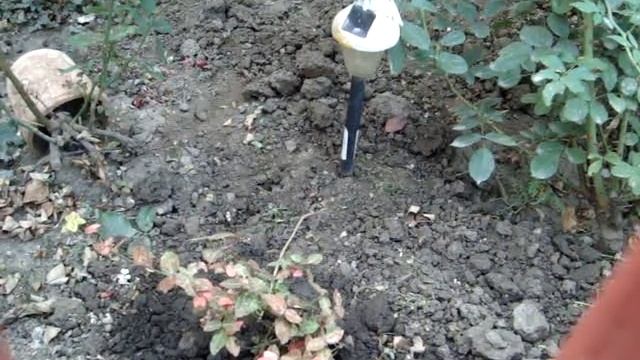 Дизайн придомовых территорий своими руками