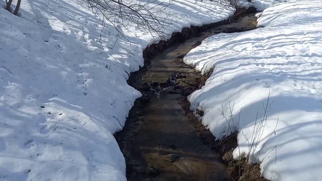 Течет ручей, поют птицы. Звуки для релаксации. A stream flows, birds sing. Sounds for relaxation.