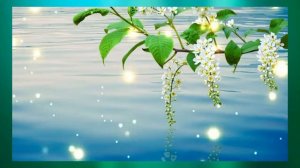 Сони Шер Little Man Маленький человек Перевод на русский язык