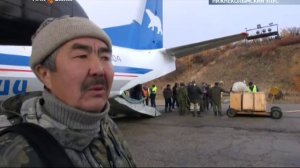 В поселок Черский Нижнеколымского района доставлено 25 овцебыков