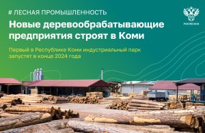 Новые деревообрабатывающие предприятия строят в Коми
