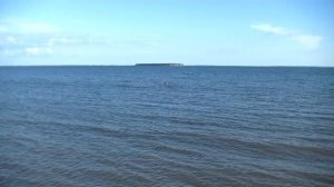 vatravel.ru  Село Никольское-на-Черемшане. Река Большой Черемшан часть Куйбышевского водохранилища