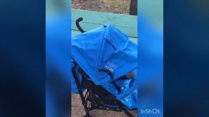 Обзор прогулочной коляски фирмы Kari (самый бюджетный вариант)