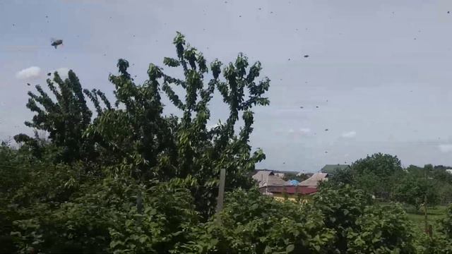 Наконец-то выглянуло солнышко и пошёл взяток 4.06.21. смотреть онлайн