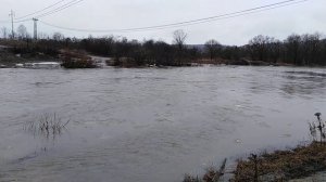 06.04.2019.Абашевка. Брод в Староабашево