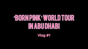 'BORN PINK' WORLD TOUR /// VLOG #1 - Собираюсь в Абу-Даби