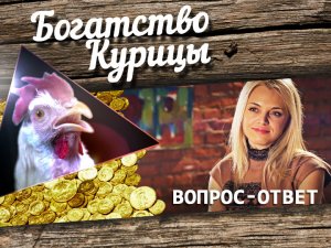 Богатство Курицы: Вопросы для Светланы