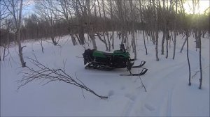 Покатушка на ирбис динго т170сс