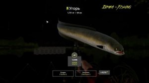 Русская рыбалка 4.?? р. Волхов ???? ГДЕ ЛОВИТ LATORSO ?