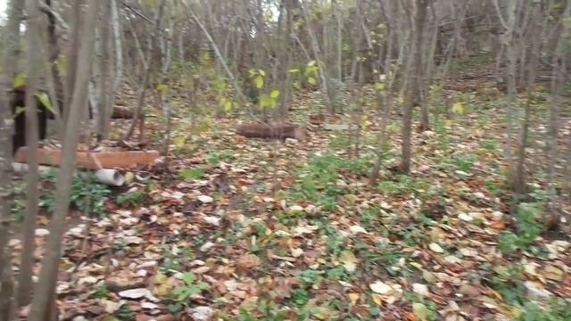 Нет света - все в сад. Предупреждал 5 лет назад смотреть онлайн