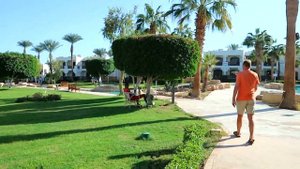 Отдых в Египте Amphoras Beach 5*  Шарм-эль-Шейх ?️ Отель который нам нравится !