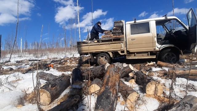 Заготовка дров в СИБИРИ!!! Работаю один целый день в лесу. смотреть онлайн