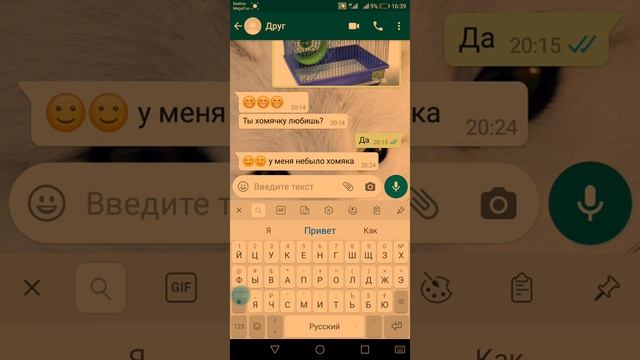 Разные приложения смотреть онлайн