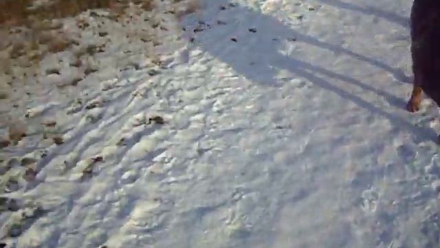 Субботняя прогулка 28 октября 2023 года. Вагонка. Нижний Тагил. смотреть онлайн