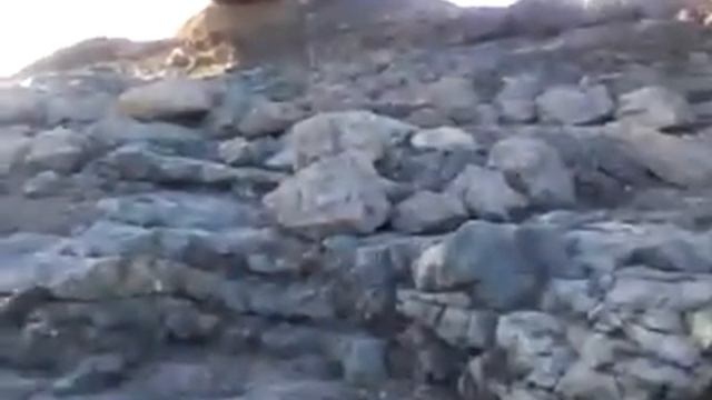 пришла большая вода смотреть онлайн