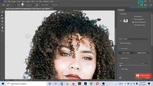 Photoshop Hair Editing Brush || Very Easy Hair Background Remove In Photoshop CC || Remove Hair