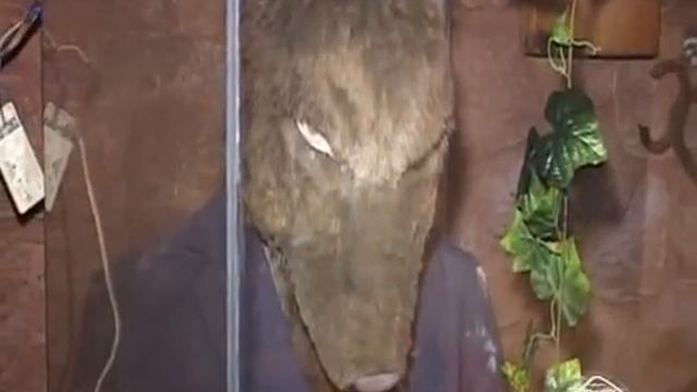 Санаторий Жемчужина Урала - Ночной клуб ГЗК N 315