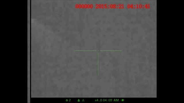 2015 08 21 Morning Thermal Hog hunt with Apex XD50A смотреть онлайн
