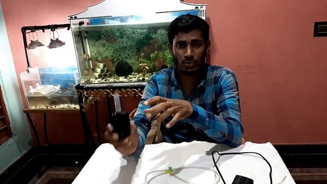 Sponge Filter vs internal Filter? Which one is best for Aquariums смотреть онлайн